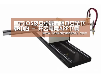 案例展示一