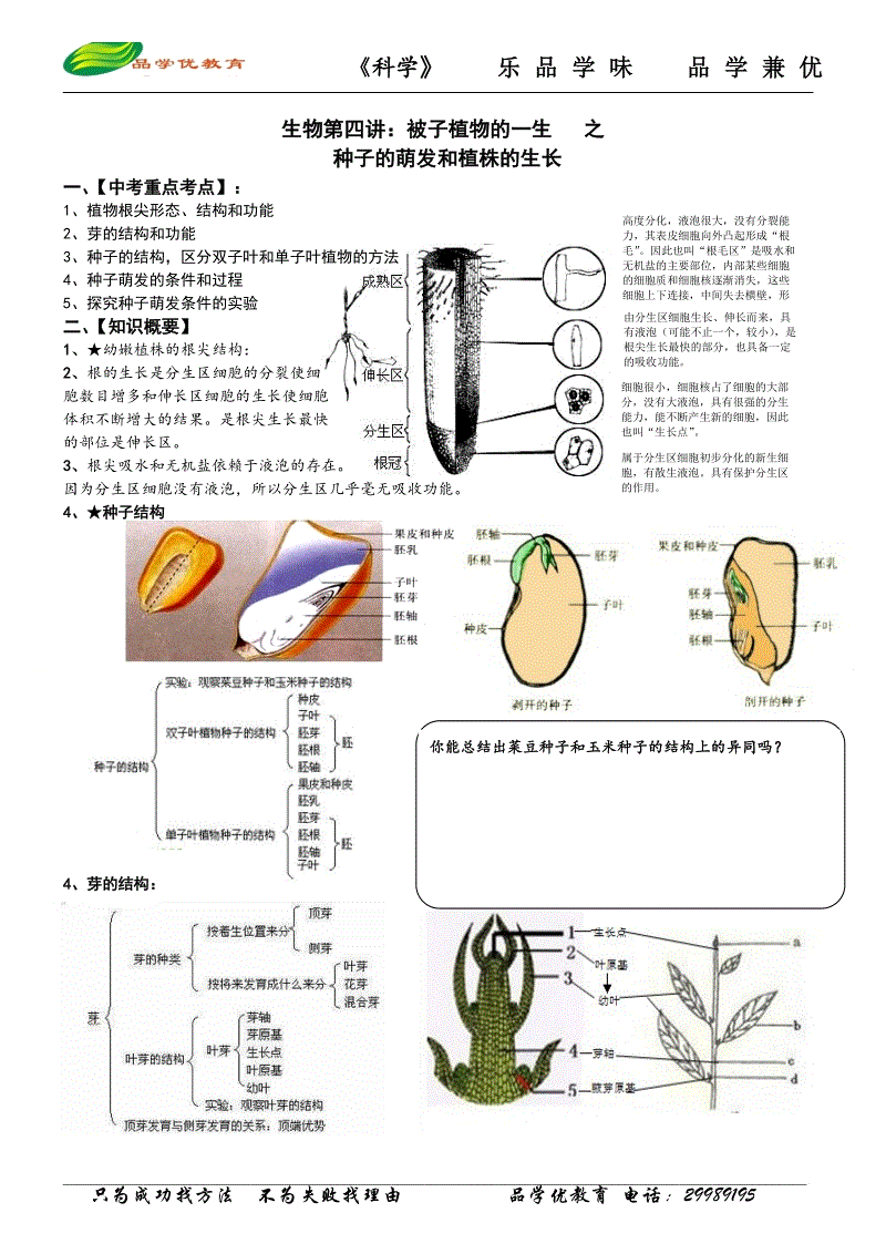 开云电竞