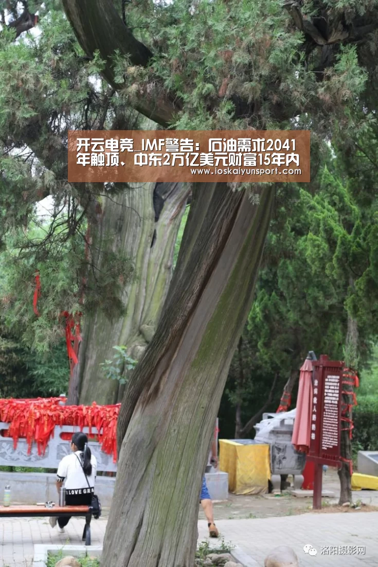 开云电竞