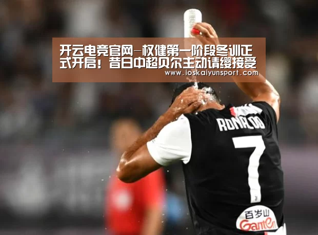 开云电竞官网-权健第一阶段冬训正式开启!昔日中超贝尔主动请缨接受新帅考察(图2) 开云电竞官网