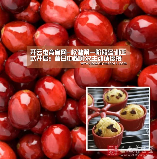 开云电竞官网-权健第一阶段冬训正式开启!昔日中超贝尔主动请缨接受新帅考察(图4) 开云电竞官网