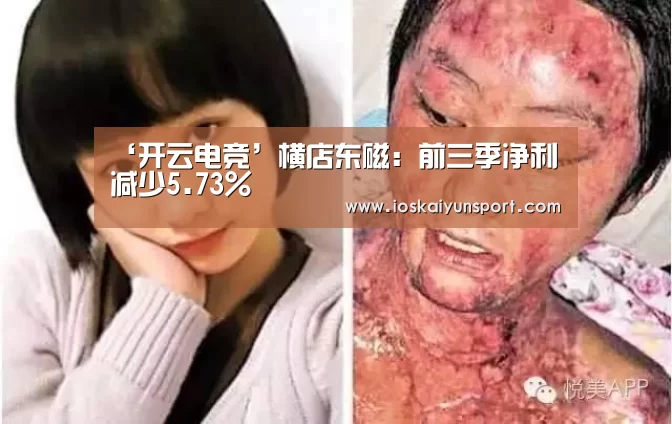 ‘开云电竞’横店东磁:前三季净利减少5.73%(图1) kaiyun电竞