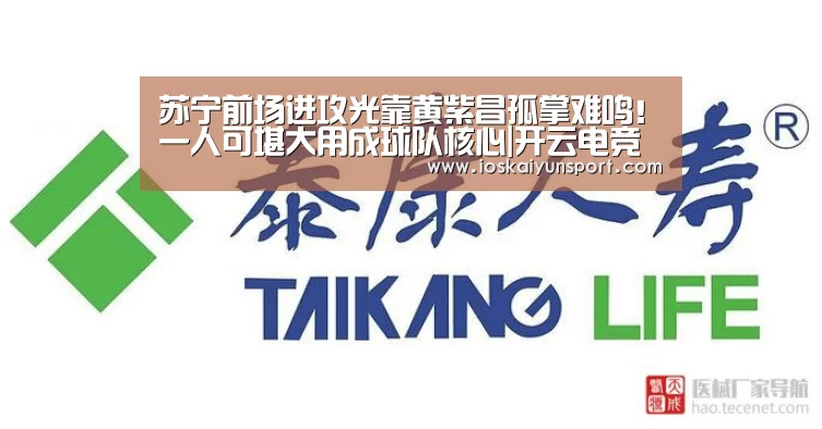 开云电竞
