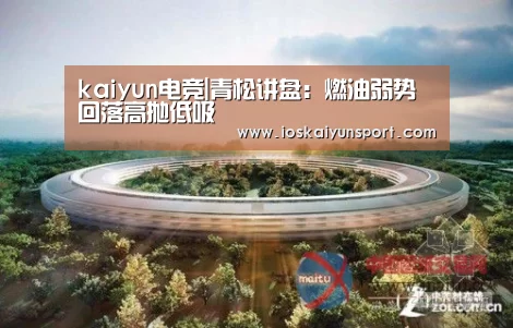 kaiyun电竞|青松讲盘:燃油弱势回落高抛低吸(图4) 开云电竞官网