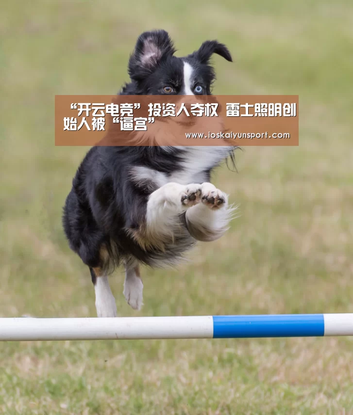 “开云电竞”投资人夺权 雷士照明创始人被“逼宫”(图2) 开云电竞