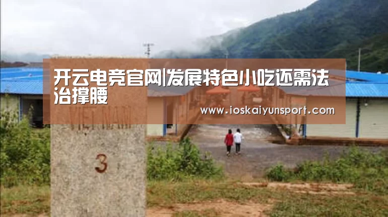 开云电竞官网|发展特色小吃还需法治撑腰(图2) 开云电竞官网