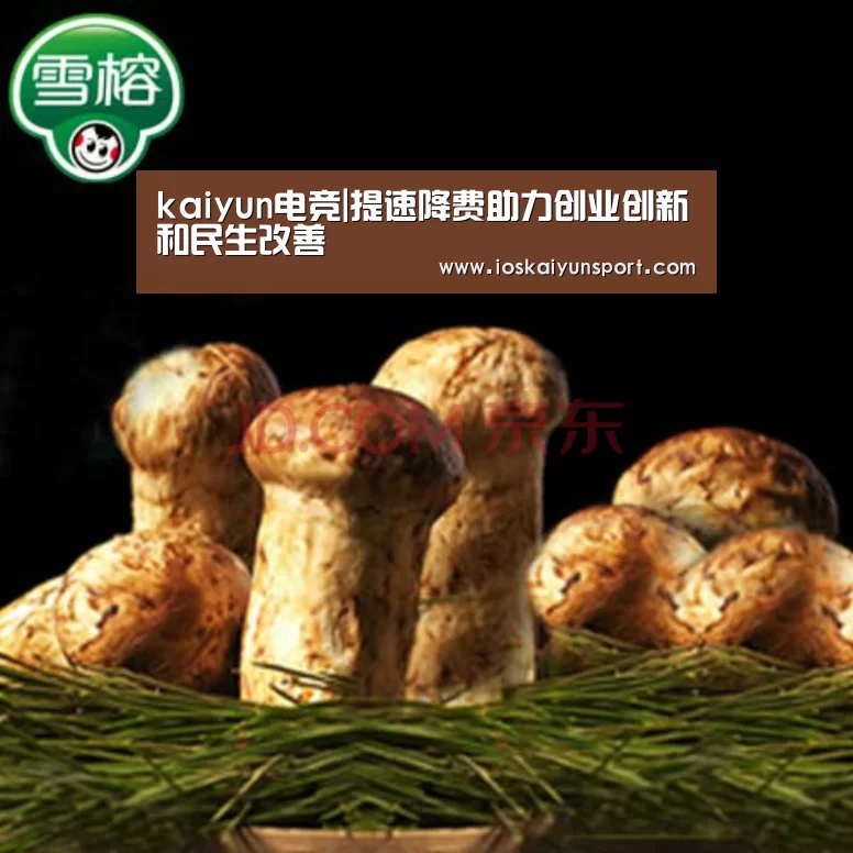 kaiyun电竞|提速降费助力创业创新和民生改善(图1) 开云电竞