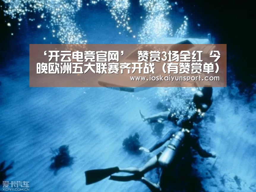 开云电竞官网